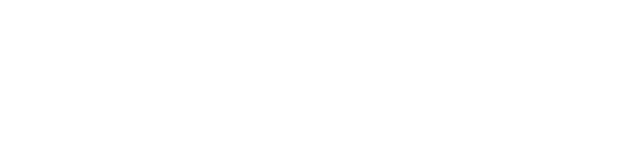 Mantle Network