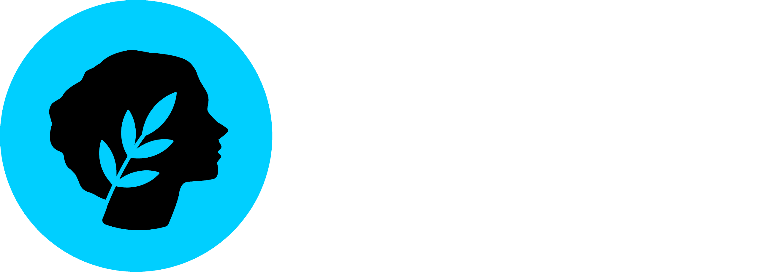 Metis Network